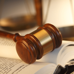 Download-<br />
Center